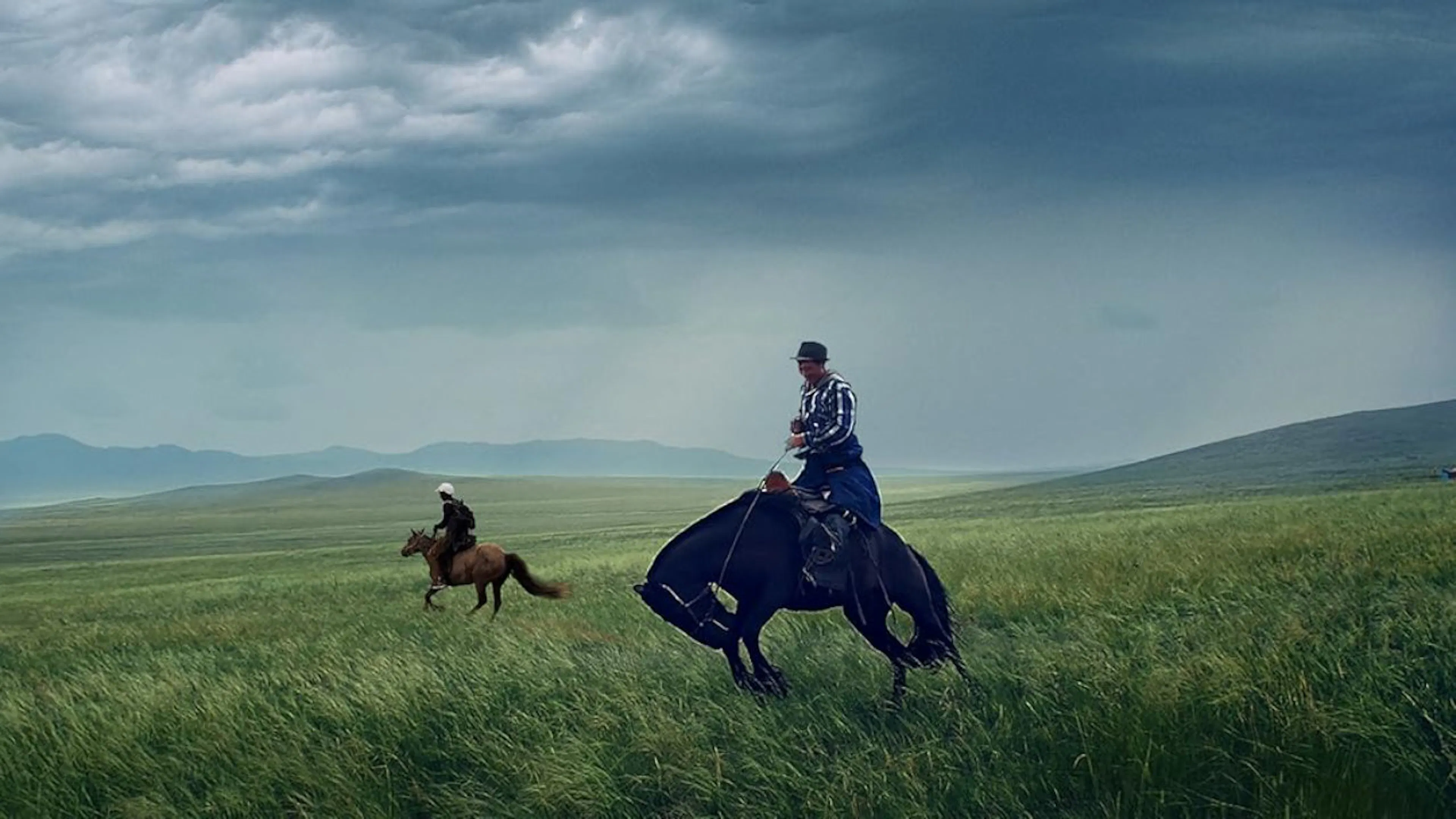 ALL THE WILD HORSES