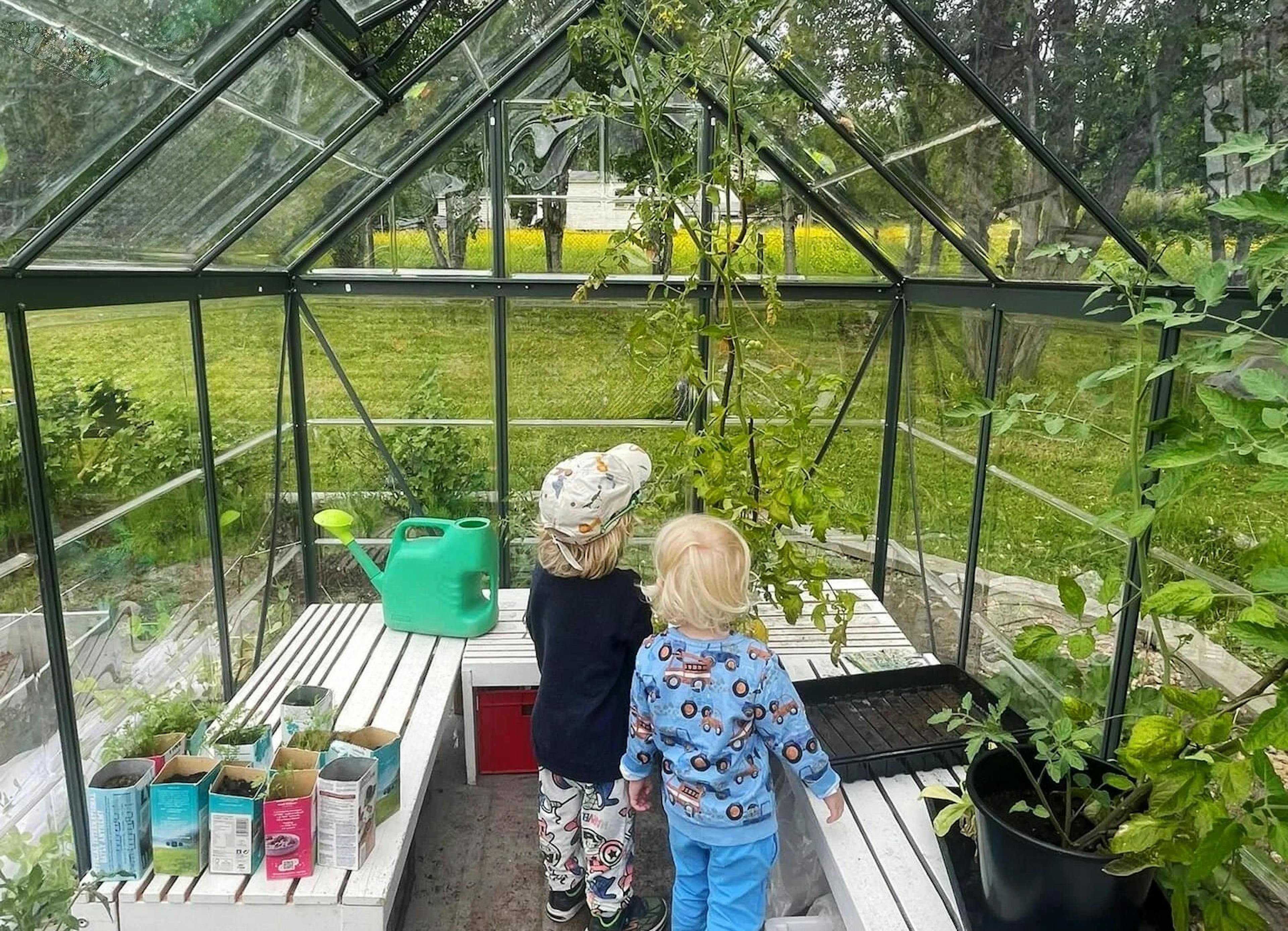 Drivhus i Nyland kopi