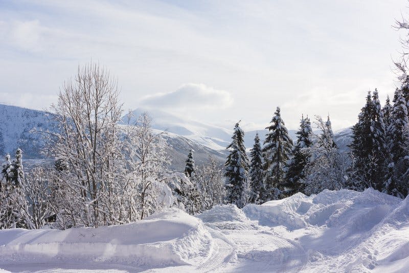 Ovre breivang bolig Tromso hybel leilighet utsikt vinter