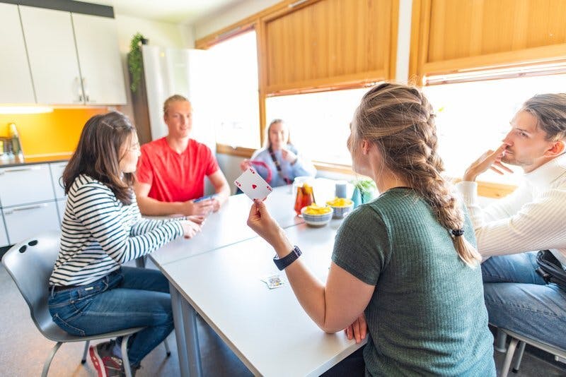 Prestvannet bolig Tromso leilighet hybel kollektiv kjokkenbord