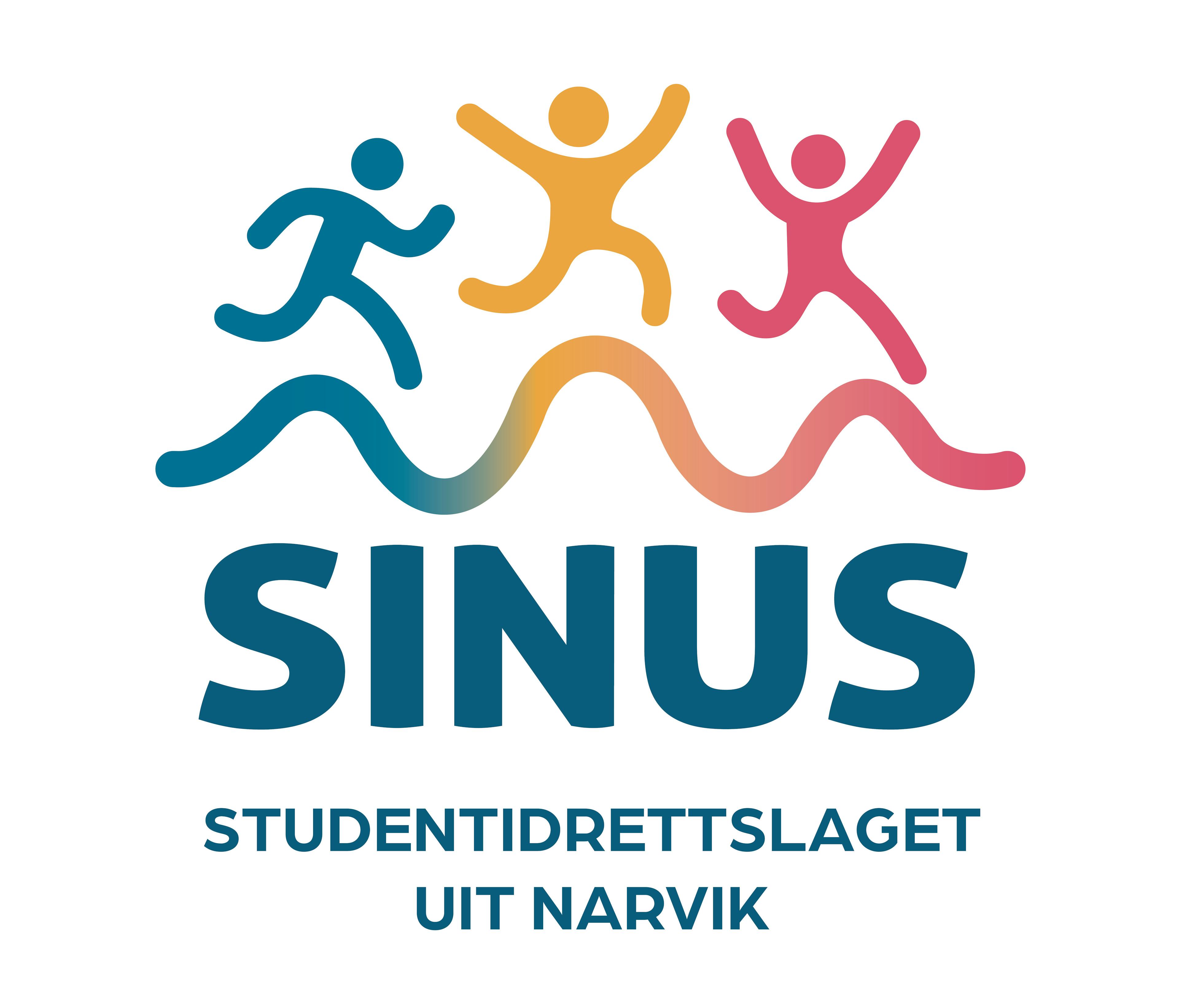 SINUS logo 2025 Hvit bakgrunn 6