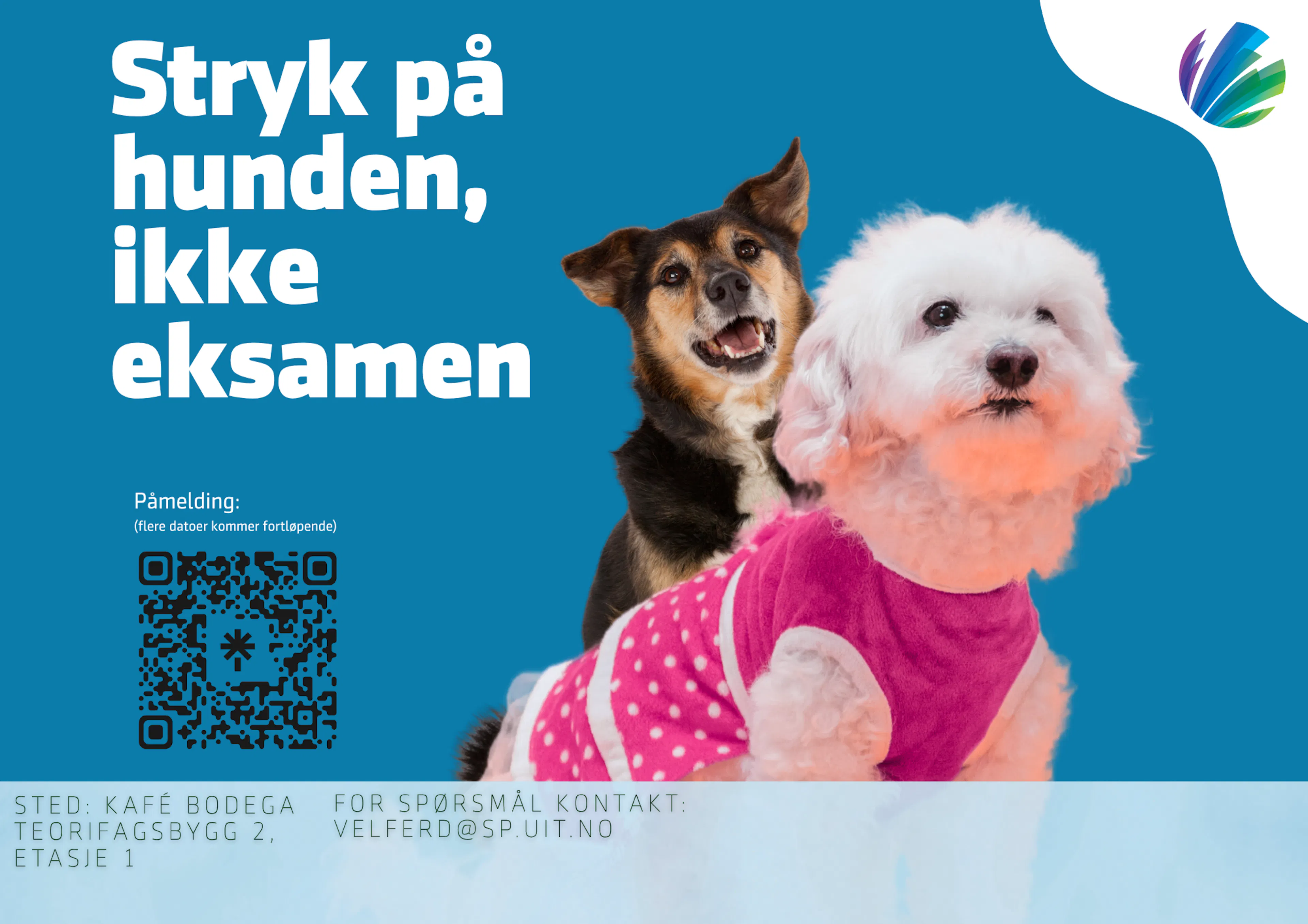 Stryk på hunden vår 26 A4 landskap