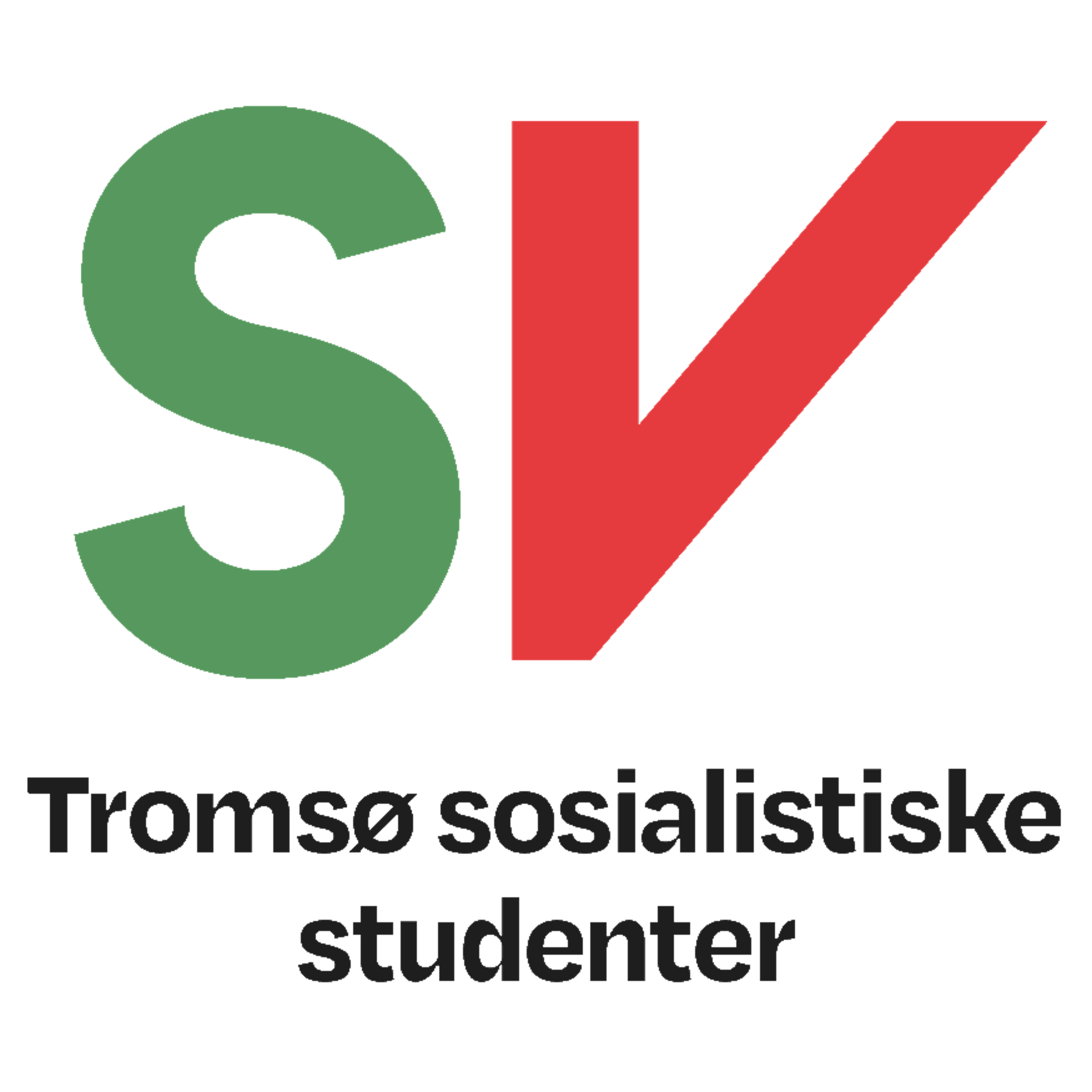 TSS Logo Gjennomsiktig
