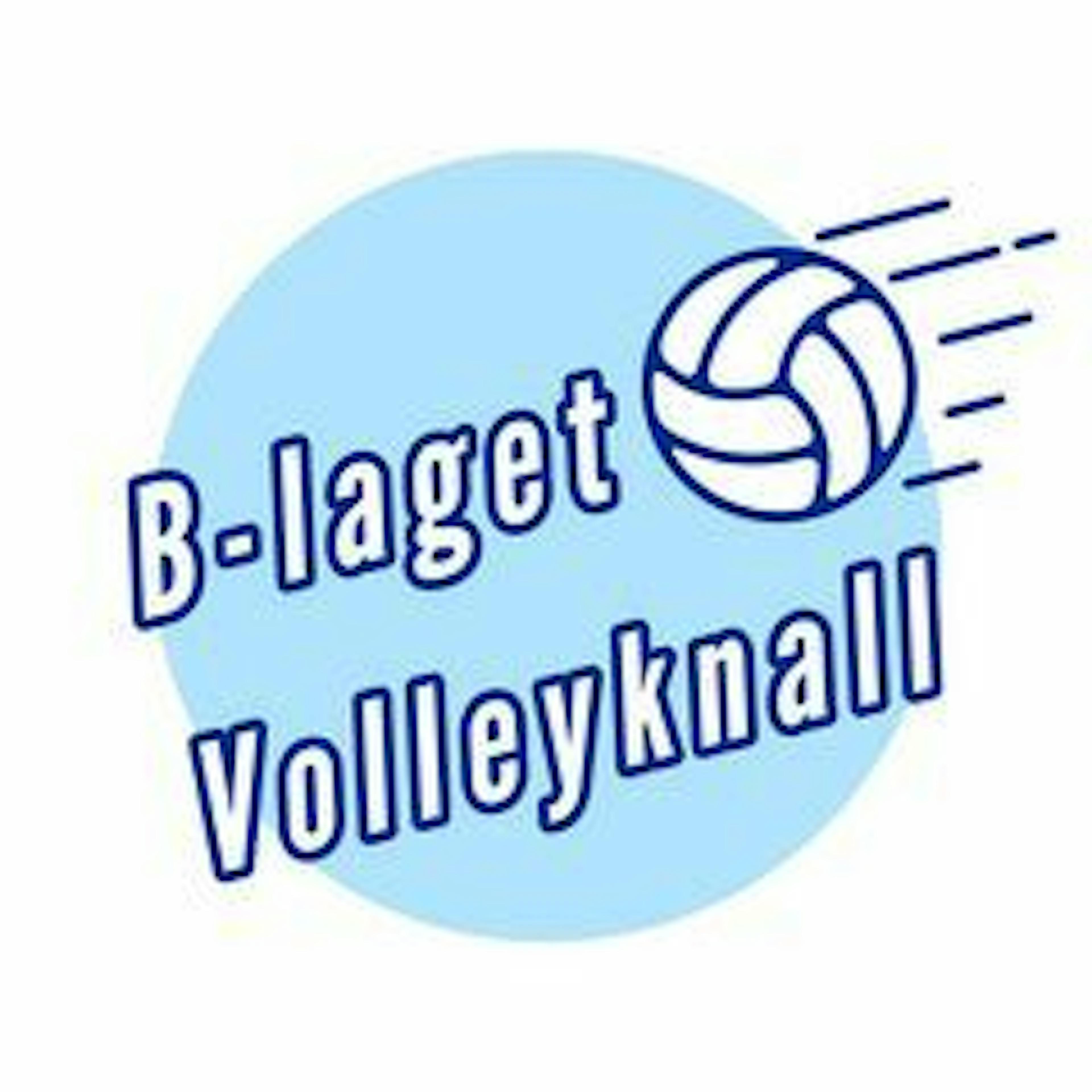 Volleyknall logo