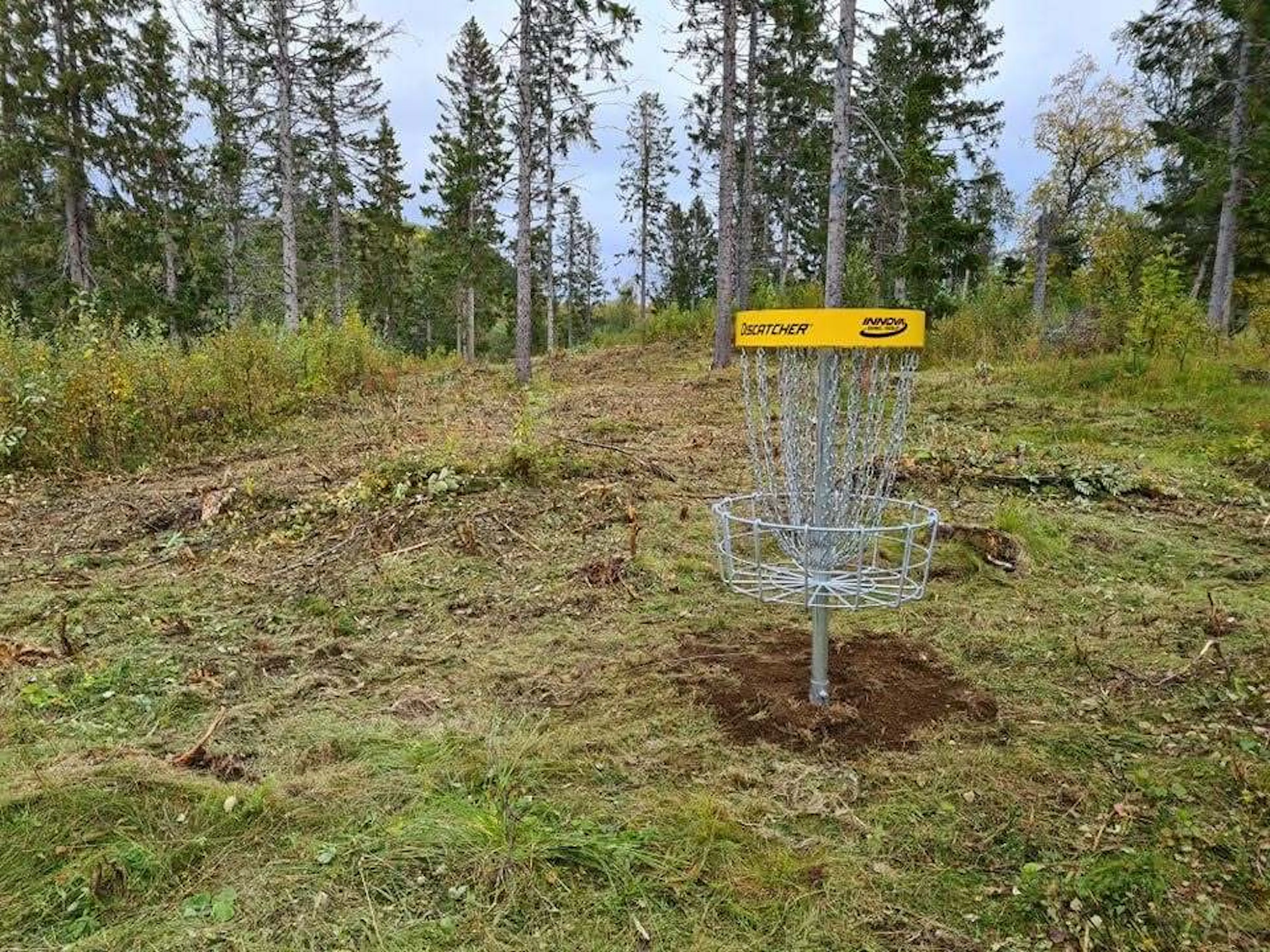 Discgolf