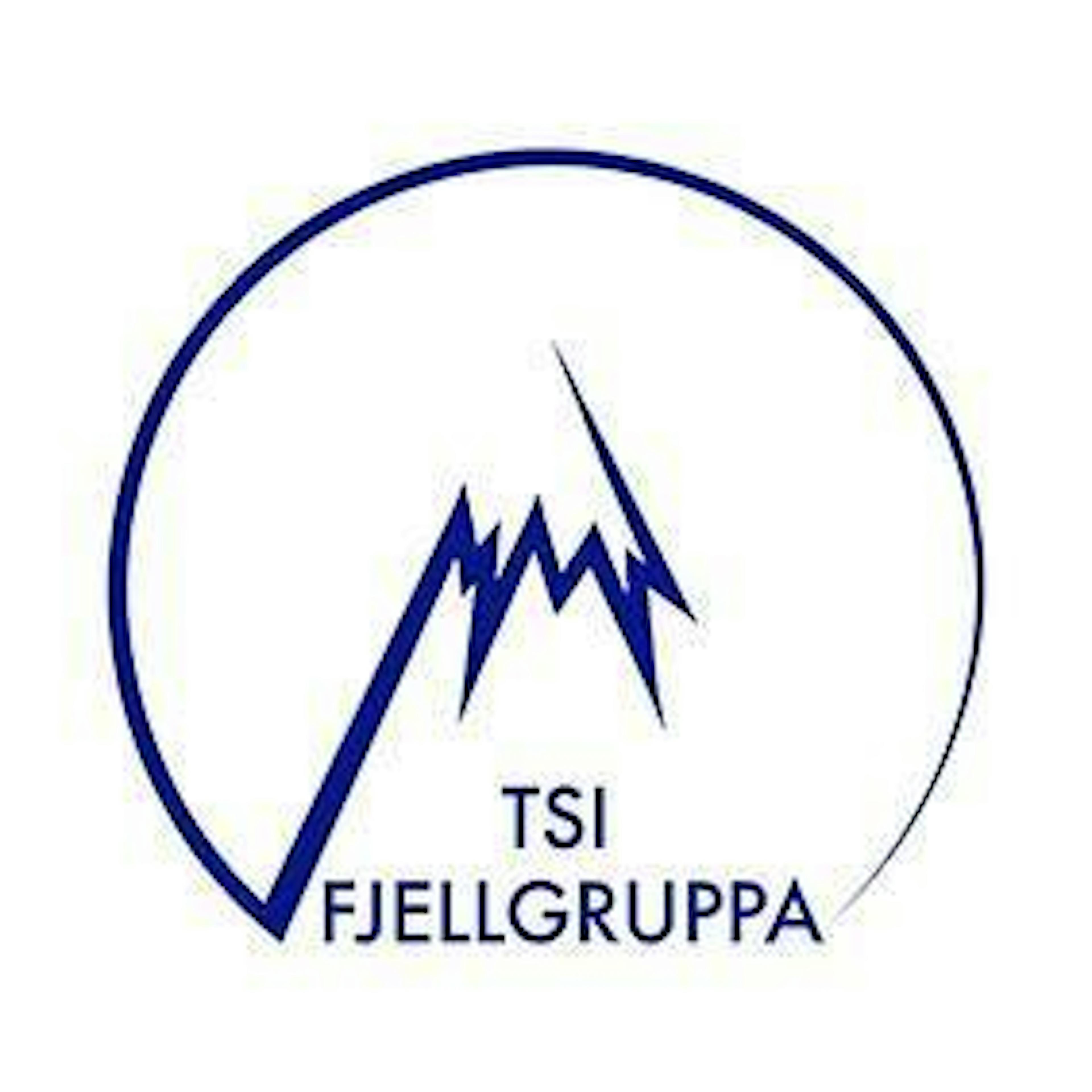 TSI Fjellgruppa