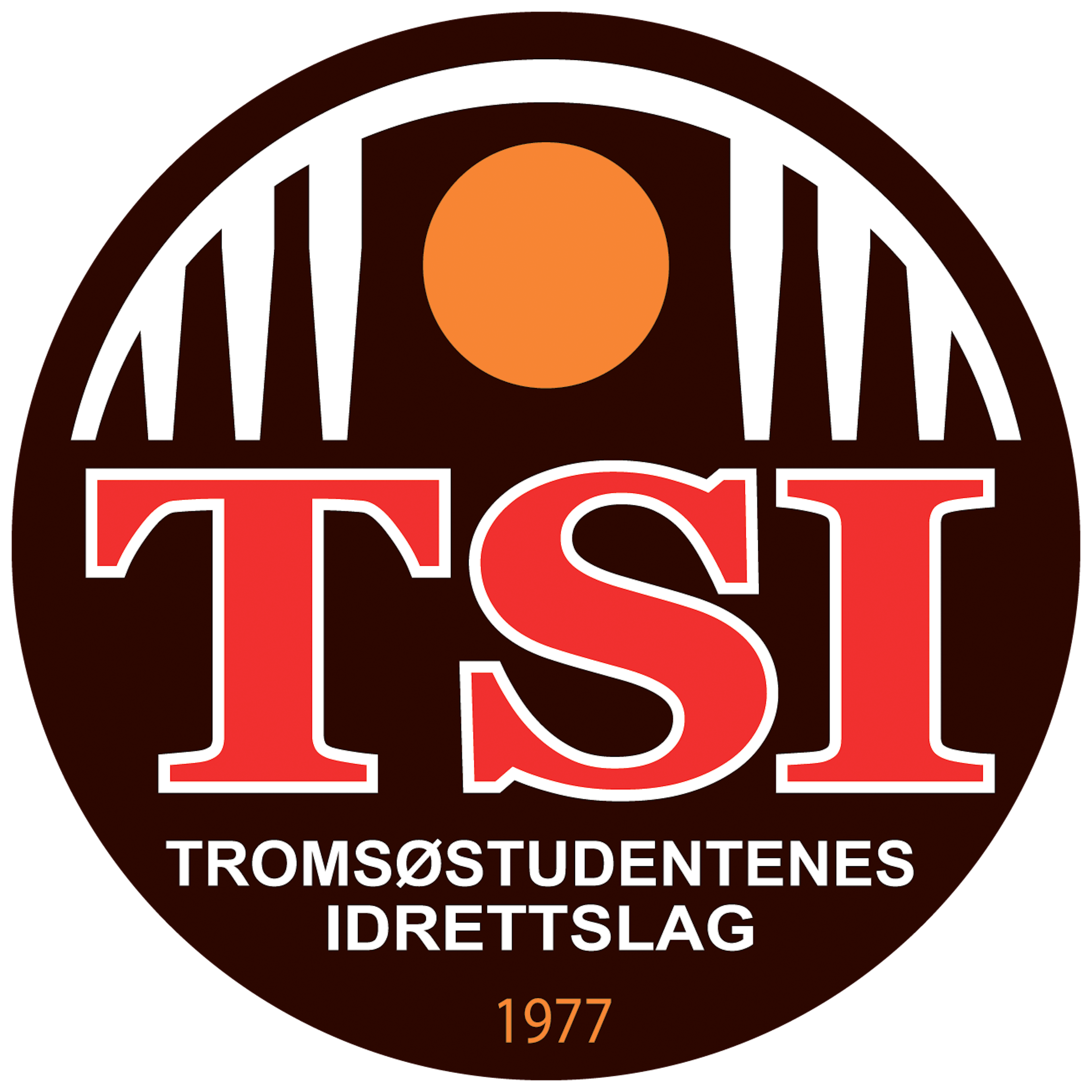 TSI logo01