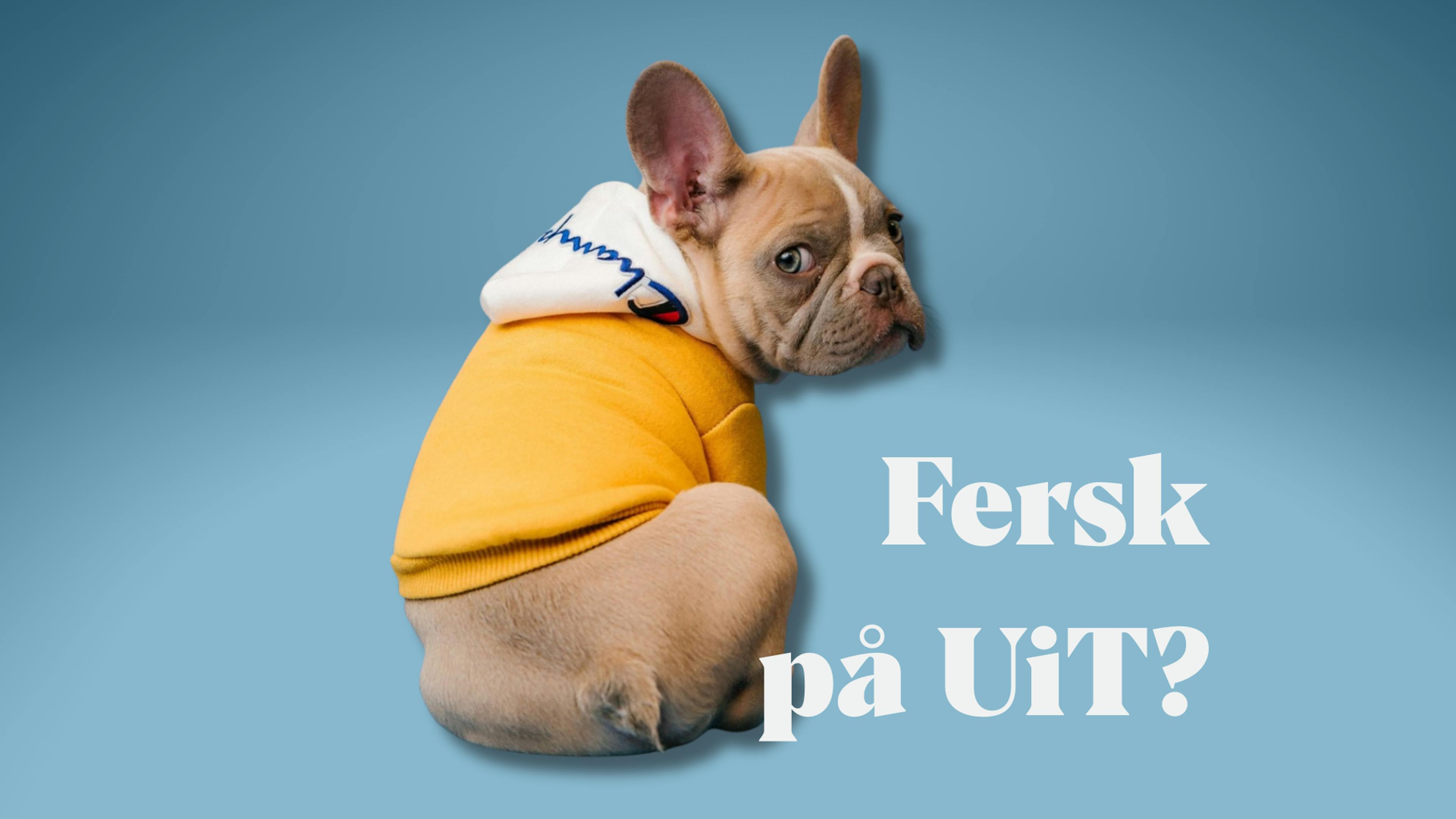 Fersk pa Ui T