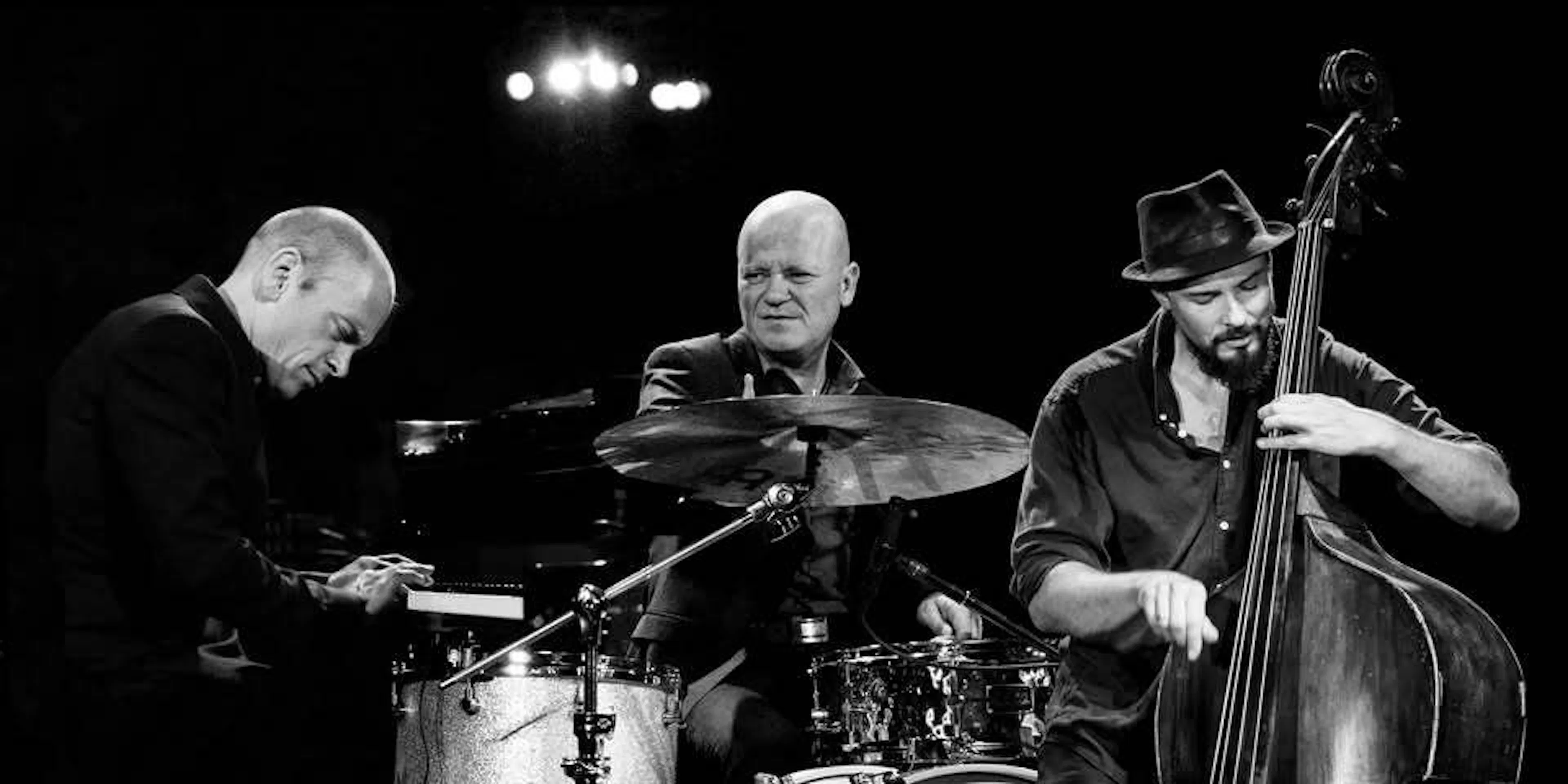 Tord gustavsen